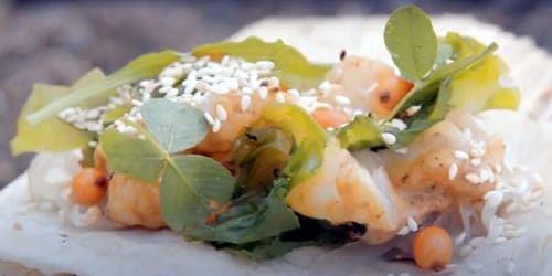 Langoustine-tacos.jpg