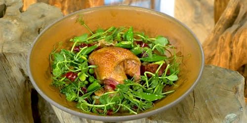 Pigeon-with-gorgonzola-and-peas.jpg