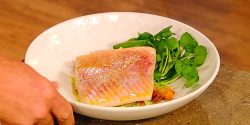 Poached-sea-trout-with-wasabi-and-watercress-sauce.jpg
