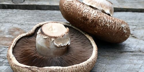 Portobello-Mushrooms.jpg