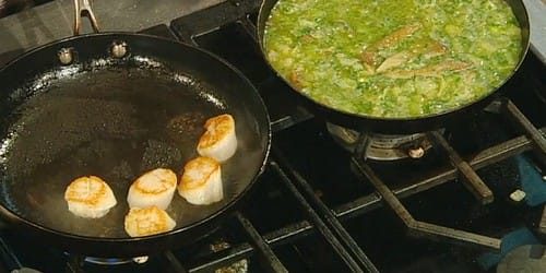 Queen-scallops-with-winter-vegetables-and-parsley-pesto.jpg