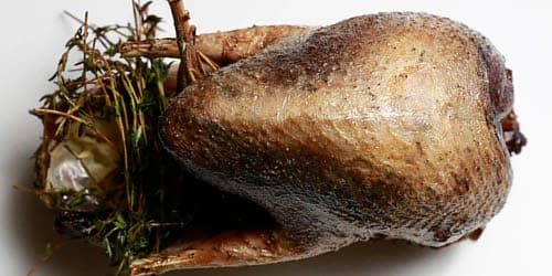 Roast-Grouse.jpg