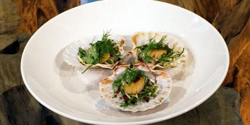 Scallops-with-kefir.jpg