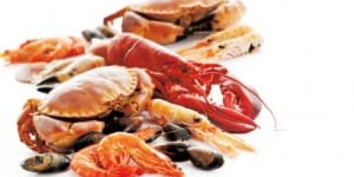 Seafood-300x201.jpg