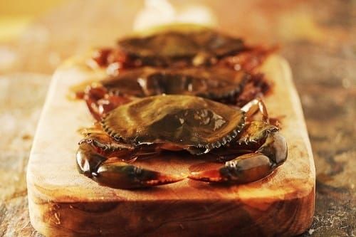 Softshellcrabs.jpg