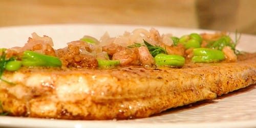 Sole-with-broad-beans-brown-shrimps-and-sparkling-wine-sauce.jpg