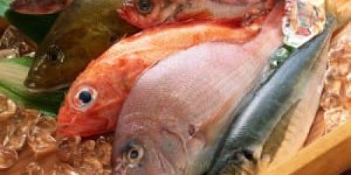 fish-300x225.jpg