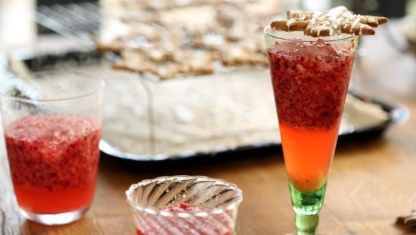 ginger_fizz_01295_16x9.jpg