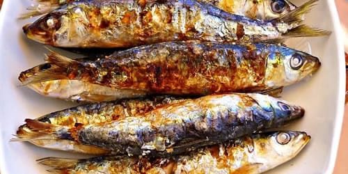grilled-sardines.jpg