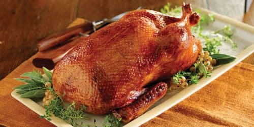 roast-duck-image.jpg
