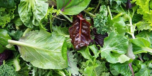 salad-leaves-image.jpg