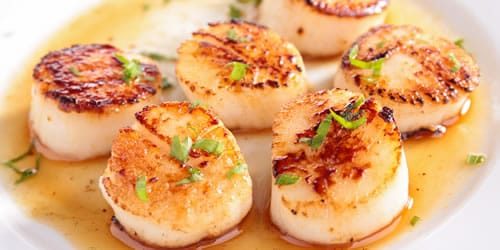 scallops-image.jpg
